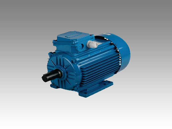 NEM Three Phase Induction Motor